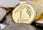 Dzień Wyjścia z Szarej Strefy Gospodarczej